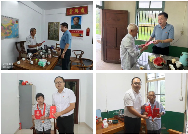 雷峰镇开展庆“七一”系列主题党日活动 - 憨鼠网
