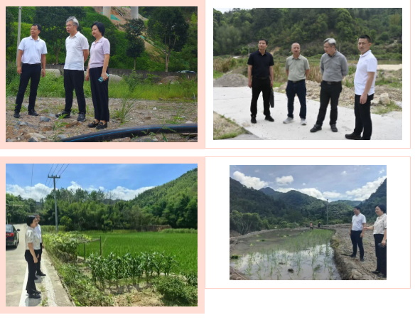水口镇：扎实开展高标准农田建设突出问题整治工作 全方位夯实粮食安全根基 - 憨鼠网