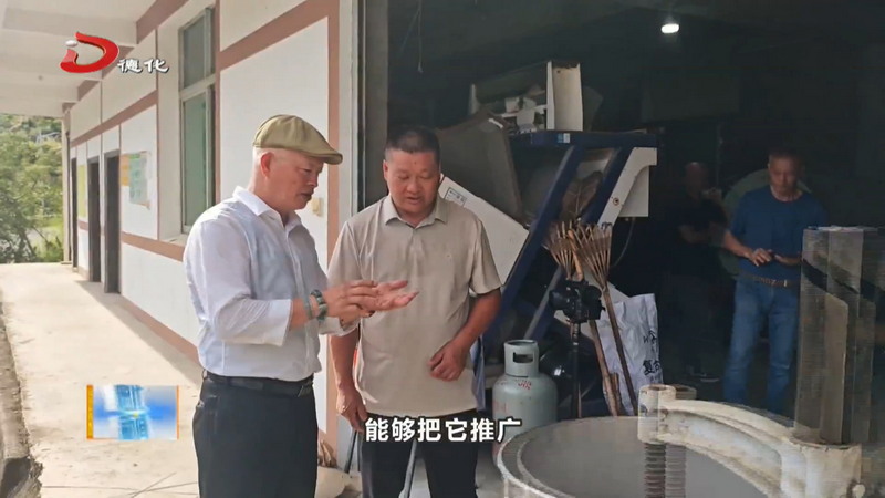 德台茶产业合作持续深化 台湾专家盼共建示范基地 - 憨鼠网