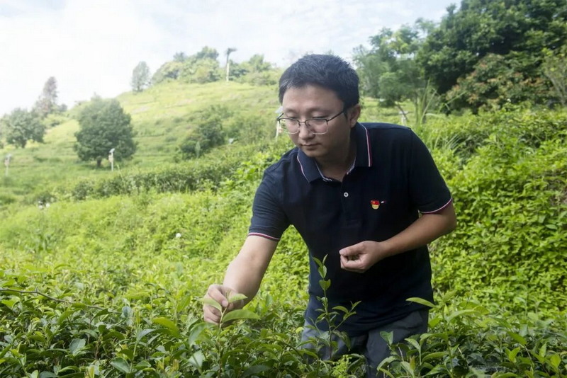 李鹏铭：以党建红激活产业绿 - 憨鼠网
