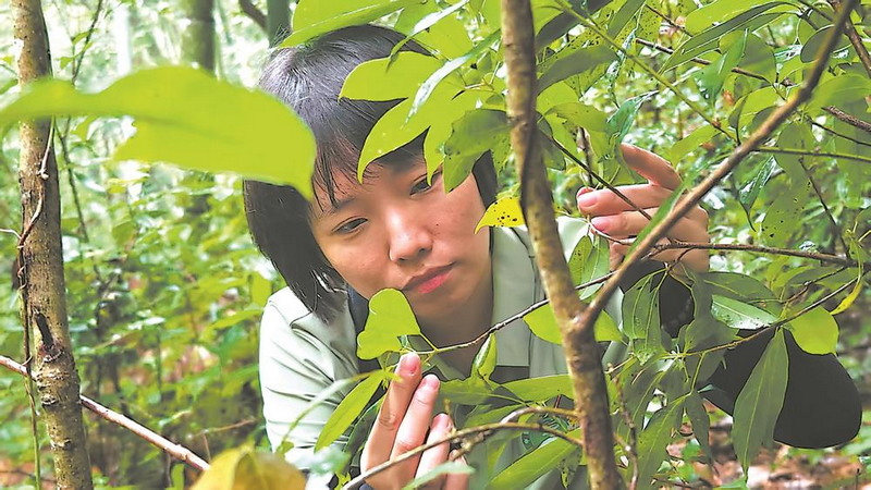 当一只蝴蝶在“闽中屋脊”振翅 - 憨鼠网