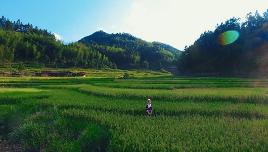 泉州记忆：百年百村| 龙塔村 - 憨鼠网