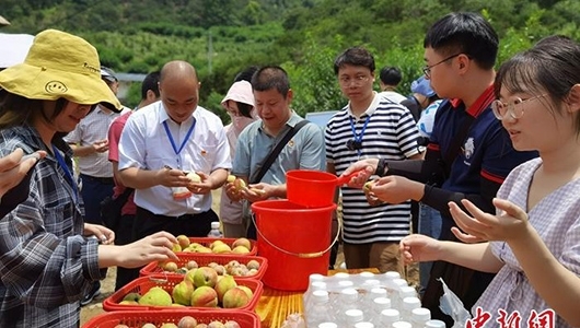 【网络媒体革命老区行】以产兴城，“瓷都”德化打造新型城镇化样板 - 憨鼠网