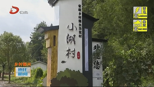 美湖镇小湖村：共建共享 打造乡村振兴样板村 - 憨鼠网