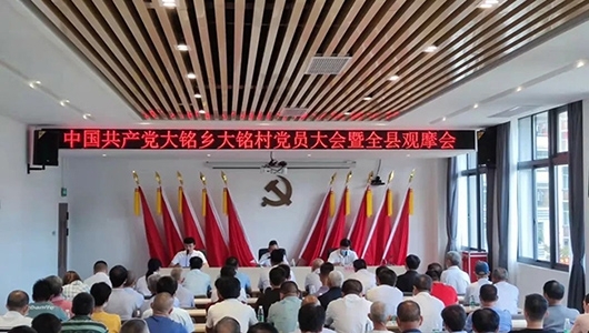 大铭乡大铭村圆满完成村党组织换届选举工作 - 憨鼠网