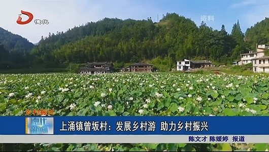 上涌镇曾坂村：发展乡村游 助力乡村振兴 - 憨鼠网