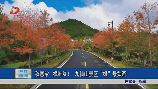 秋意浓枫叶红 九仙山景区“枫”景如画 - 憨鼠网