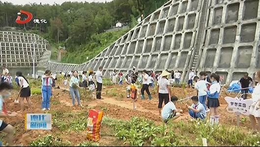 五实小：小学生劳动实践喜迎丰收 - 憨鼠网