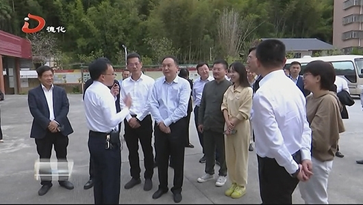 省政协副主席许维泽到德化调研乡村振兴工作 - 憨鼠网