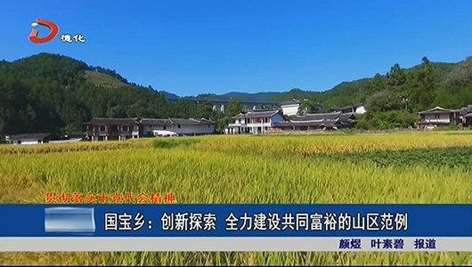 国宝乡：创新探索 全力建设共同富裕的山区范例 - 憨鼠网