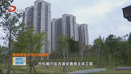 浔中镇：主动对标 全力打造“闽中区域发展中心首善之镇” - 憨鼠网