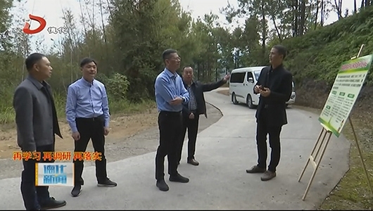 县委书记调研林长制工作 - 憨鼠网