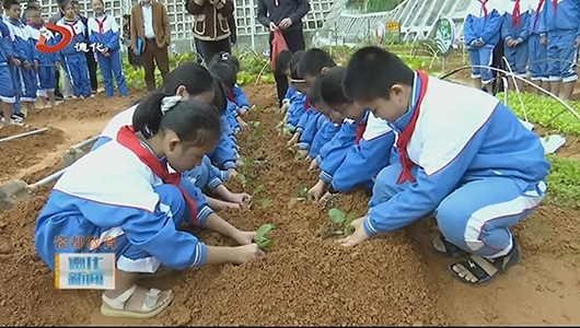 德化县举行中小学劳动学科研训活动 - 憨鼠网