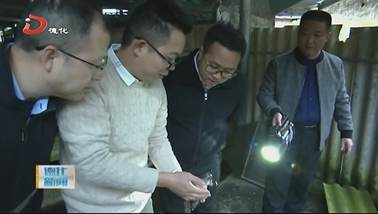 代县长调研乡村振兴工作 - 憨鼠网