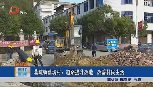 葛坑镇葛坑村：道路提升改造 改善村民生活 - 憨鼠网