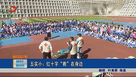 五实小：红十字“救”在身边 - 憨鼠网
