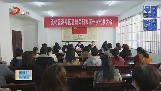 美湖片区驻城关妇联举行第一次代表大会 - 憨鼠网
