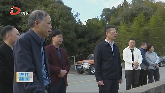 县委书记调研森林防灭火工作 - 憨鼠网