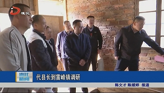 代县长到雷峰镇调研 - 憨鼠网