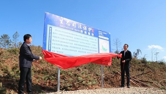 德化县生态司法保护教育基地来啦～ - 憨鼠网