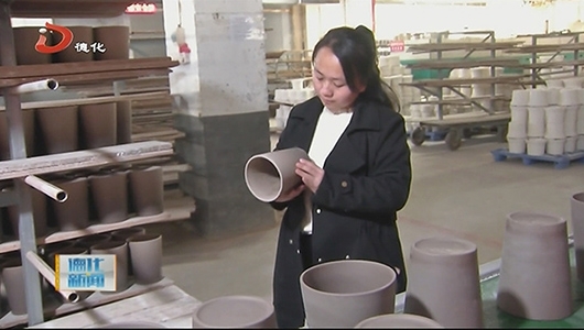 苏艳梅：扎根家乡沃土 助力家乡建设 - 憨鼠网