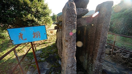 虎年说虎事 泉州“虎地”上百个 - 憨鼠网