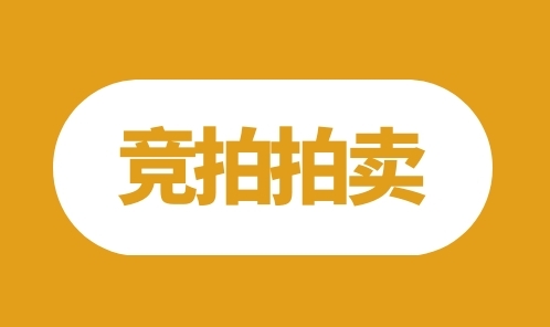 福建省德化第二瓷厂改制工作小组废铜、废铝、废钢废铁等拍卖公告 - 憨鼠网