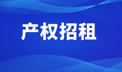 德化瓷厂（浔北西路25号楼一层）租赁权招标公告 - 憨鼠网