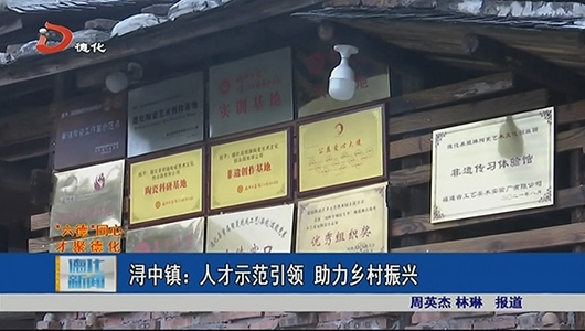 浔中镇：人才示范引领 助力乡村振兴 - 憨鼠网