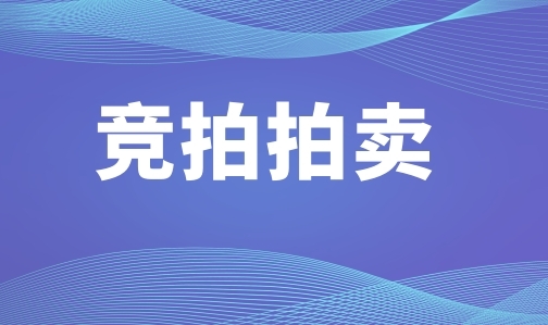 德化第二瓷厂报废设备一批拍卖公告 - 憨鼠网