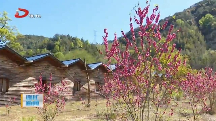 南埕镇：春光无限好 桃花竞争艳 - 憨鼠网