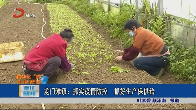 龙门滩镇：抓实疫情防控 抓好生产保供给 - 憨鼠网