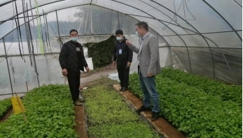 福建德化：乡村振兴履使命 疫情防控践初心 - 憨鼠网