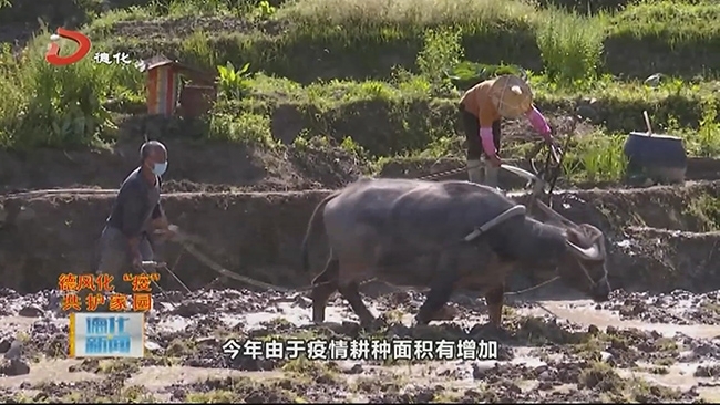 龙门滩镇：疫情不推农时 防控不误春耕 - 憨鼠网