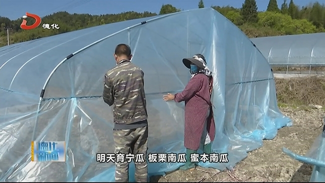 桂阳乡：防疫不松劲 春耕不耽搁 - 憨鼠网
