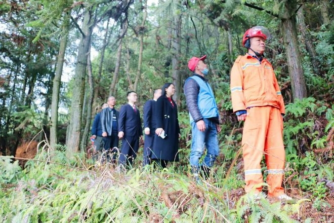 德化检察院“三举措”监督《巡山守护令》执行，守护绿色瓷都 - 憨鼠网