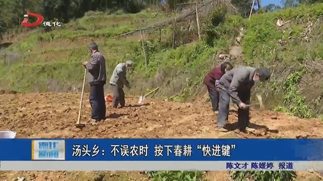 汤头乡：不误农时 按下春耕“快进键” - 憨鼠网