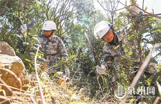护林卫士：守护青山 向绿而行 - 憨鼠网