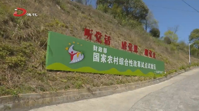 龙浔镇多措并举打造农村综合性改革试点样板 - 憨鼠网