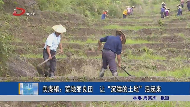 美湖镇：荒地变良田 让“沉睡的土地”活起来 - 憨鼠网