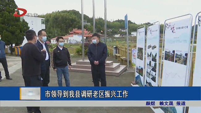 市领导到德化县调研老区振兴工作 - 憨鼠网