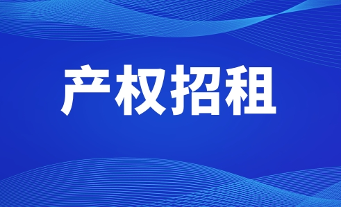 关于龙浔镇塔雁商园套房招租公告 - 憨鼠网
