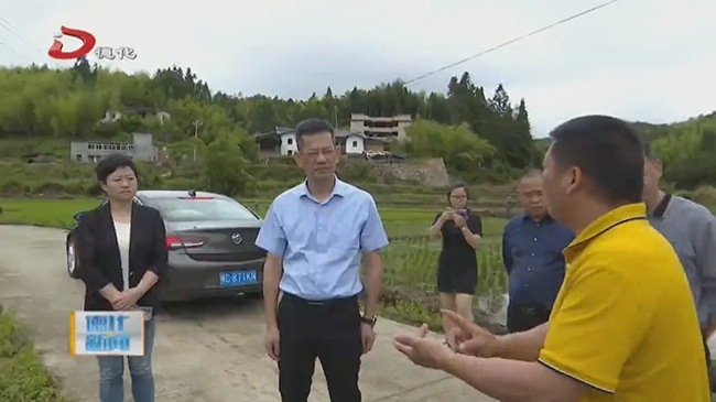县委书记调研土地流转工作 - 憨鼠网