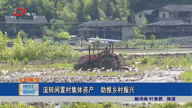 流转闲置村集体资产 助推乡村振兴 - 憨鼠网