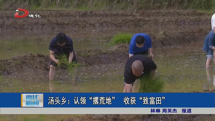 汤头乡：认领“撂荒地” 收获“致富田” - 憨鼠网