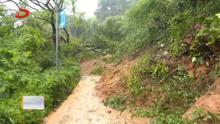 驾云亭公园：持续降雨引发塌方 紧急封闭 - 憨鼠网