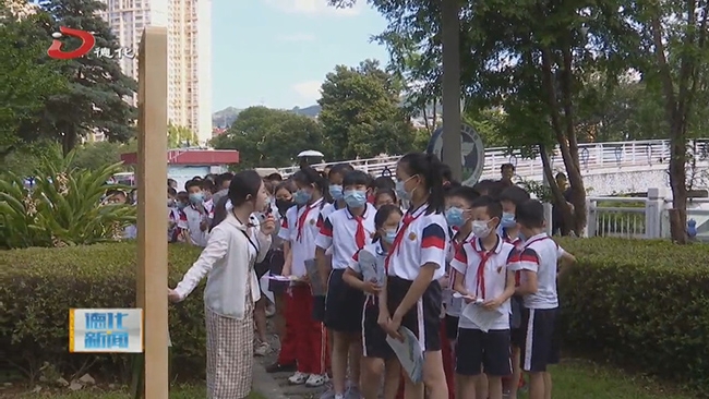 禁毒宣传活动：健康人生 绿色无毒 - 憨鼠网
