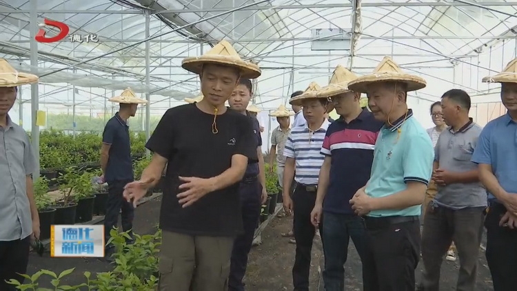 县政协调研我县农产品质量安全体系建设情况 - 憨鼠网