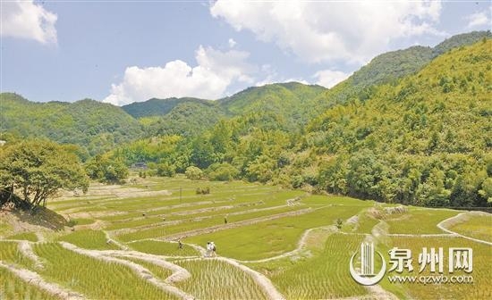 “粮仓”添良田 - 憨鼠网