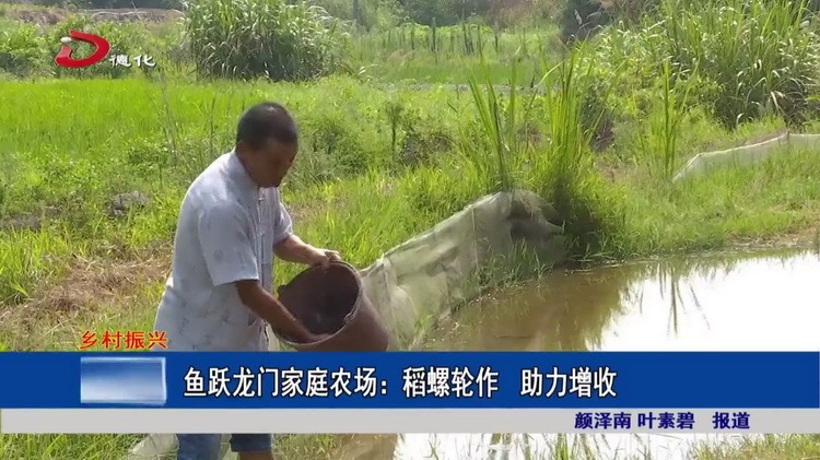 鱼跃龙门家庭农场：稻螺轮作 助力增收